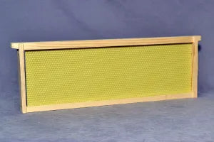 6 1/4 Assm.FR YW-Frames