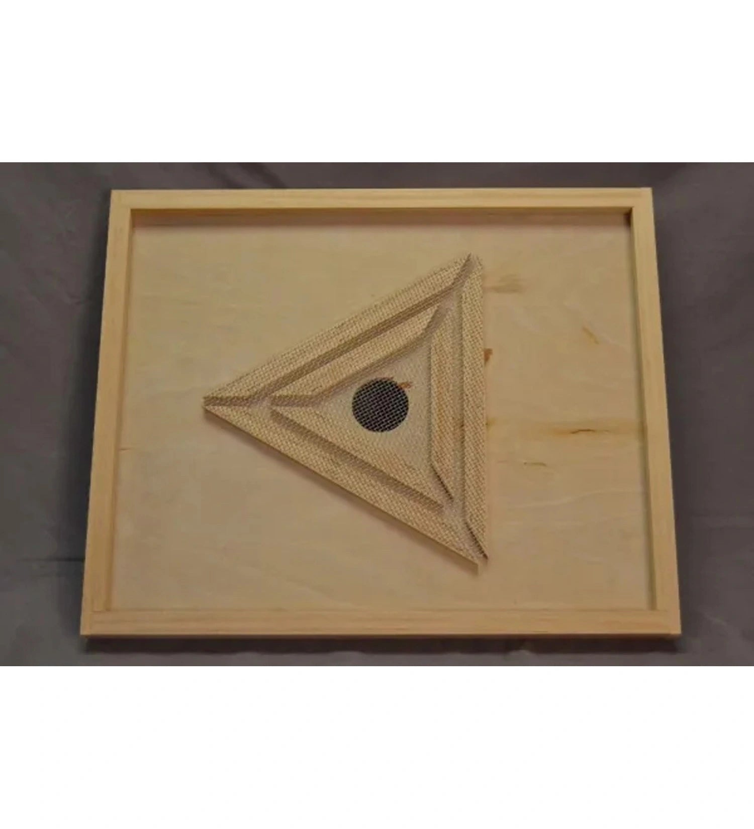 Bee escape w/ screen-WW178 : 10 frame
